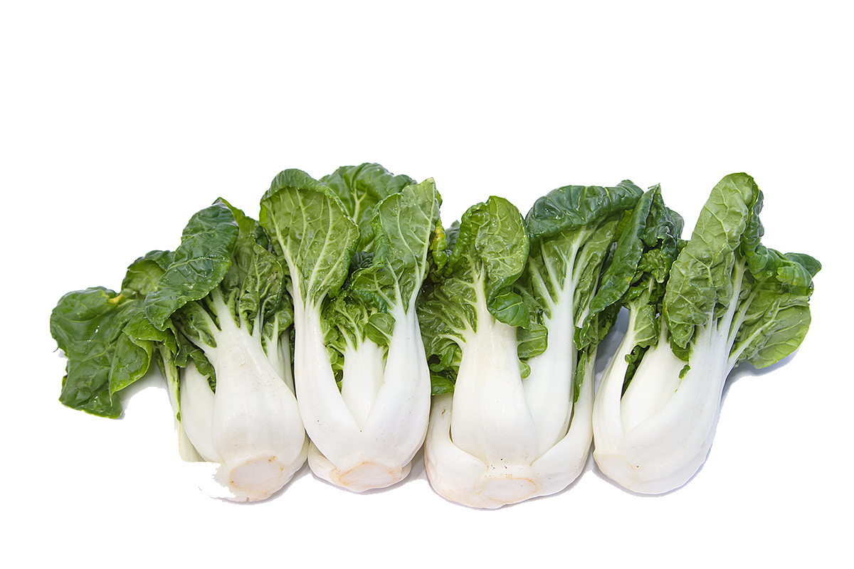 Baby-Pak-Choi
